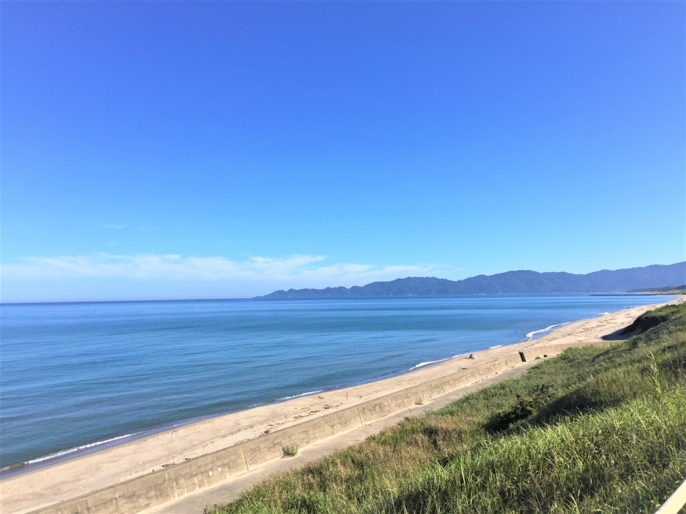 海岸道路から