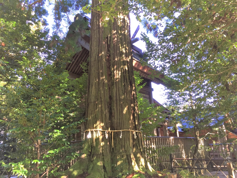 00須佐神社３.jpg