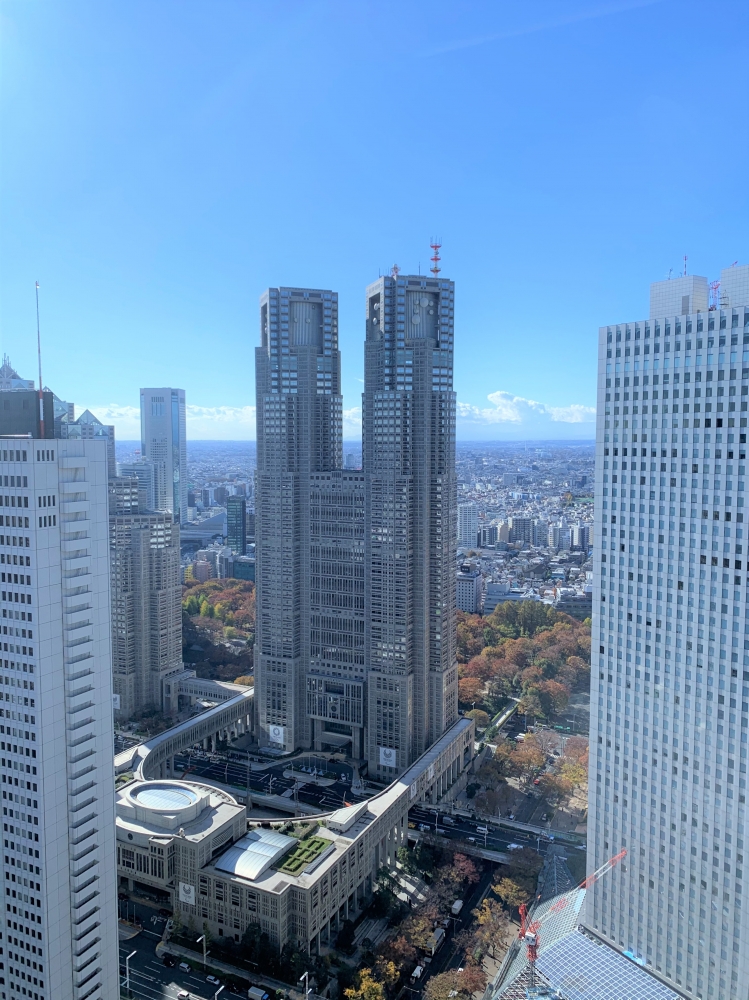 ビル街の紅葉 Ceoブログ キュービックホームのエイジング万歳 キュービックホーム 出雲市 松江市